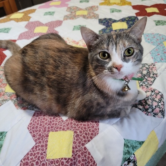 palmerjudy6